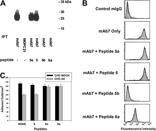 Fig. 3. CD9 EC2 peptides 5b (135K-V172) and 6a (168P-I185) competitively block anti-CD9 mAb7 binding to soluble and cell surface CD9 as well as reverse the CD9 inhibitory influence on CHO cell adhesion to fibronectin. / (A) Platelet lysate was added to either anti-CD9 mAb7, control mouse IgG1, κ (MOPC 21), or mAb7 incubated with either peptides 5a (111Y-T134), 5 (125Y-I146), 5b (135K-V172), or 6a (168P-I185). The immunoprecipitates (IPTs) were fractionated by SDS-PAGE and transferred to PVDF membrane. CD9 was detected using mAb7. Peptides 5b and 6a block immunoprecipitation of CD9 by antibody mAb7 from human platelet lysate. (B) The peptides 5a (111Y-T134), 5 (125Y-I146), 5b (135K-V172), or 6a (168P-I185) were incubated for 30 minutes in the presence of anti-CD9 antibody mAb7. A species-specific IgG and antibody mAb7 alone were used as the negative and positive controls, respectively. Flow cytometry analysis revealed peptides 5b and 6a blocked mAb7 binding as indicated by the left shift in fluorescence intensity. (C) MOCK and A6 CHO cells were allowed to adhere to FN in the presence of peptides corresponding to segments of CD9 EC2 as described in “Materials and methods.” After stringent washing, adherent cells were counted in 5 high-power (× 40) fields of view/well from 3 wells per assay and reported as the number of adherent cells/mm2. Data are expressed as the means ± SEs of 3 independent assays. The presence of peptides 5b and 6a reversed the inhibitory influence of CD9 on A6 CHO cell adhesion to fibronectin.