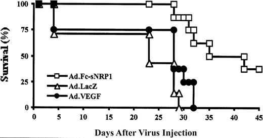 Fig. 6. Soluble NRP-1 prolonged the survival of leukemic mice. / SCID mice were injected with M1 cells followed by intravenous injection of adenoviral vectors encoding for Fc-sNRP-1 (Ad.Fc-sNRP-1; ■), VEGF (Ad.VEGF; ●), and lacZ (Ad.LacZ; ▵), as described in the Figure 5legend. Mice (10 per group) were followed for 45 days after viral injection and a survival curve was generated. Mice injected with Ad.LacZ or Ad.VEGF had a mean survival of 28 days and mice injected with Ad.Fc-sNRP-1 had a mean survival of 35 days.