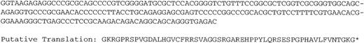 Fig. 5. Alternative 3′-end sequence (human Pax5d and Pax5e). / Unique nucleotide sequence that follows Pax5 exon 5 in an isoform with an alternative 3′-end and the putative translation of this sequence. Exons 6 to 10 of Pax5 are replaced with this alternative sequence. These data were generated through use of the Celera Discovery System and Celera Genomics' associated databases.