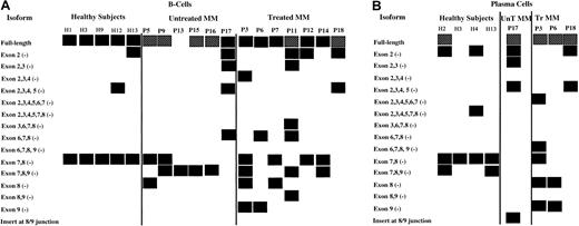 Fig. 6. Compilation of Pax5 isoforms detected in untreated MM patients, treated MM patients, and healthy subjects. / P indicates patient; MM, multiple myeloma patient; H, healthy subject. Boxes represent detection of the Pax5 isoforms listed at left of diagram; hatched boxes for the Pax5 full-length isoform indicate that very low expression was detected in semiquantitative analyses. No attempts were made to semiquantitate any other isoforms, which were expressed at variable levels. (A) Isoforms detected by RT-PCR in B-cell populations from 5 healthy subjects, 6 untreated MM patients, and 7 treated MM patients. The isoforms shown for P11 and for P13 to P16 are also the isoforms that were observed in the CD22+ B-cell populations for these patients with one exception: The isoform missing exons 7-8 was not observed in the CD22+ cells of P14. (B) Isoforms detected by RT-PCR in plasma cells from 4 healthy subjects, 1 untreated MM patient, and 3 treated MM patients.
