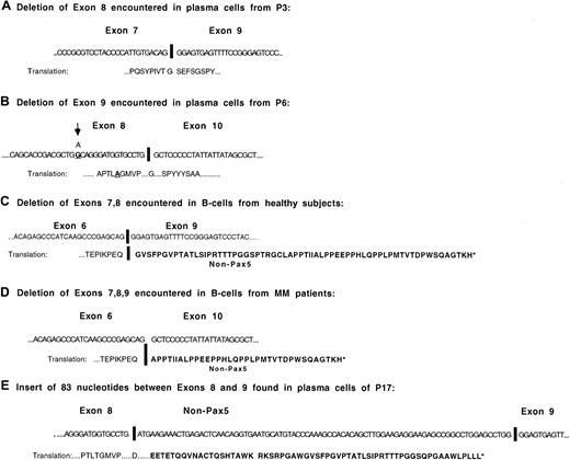 Fig. 7. Structure and sequences of most commonly occurring Pax5 mRNA isoforms. / (A) Sequence of the exon junction observed in the Pax5 isoform from which exon 8 has been deleted. (B) Sequence of the exon junction observed in the Pax5 isoform from which exon 9 has been deleted. The base change shown in exon 8 was observed in P6. (C) Sequence of the exon junction observed in the Pax5 isoform from which exons 7-8 have been deleted. This isoform has been detected in the B cells of all healthy subjects. (D) Sequence of the exon junction observed in the Pax5 isoform from which exons 7-9 have been deleted. (E) Sequence of the isoform detected in the plasma cells of P17 that has an insert between exon 8 and exon 9.