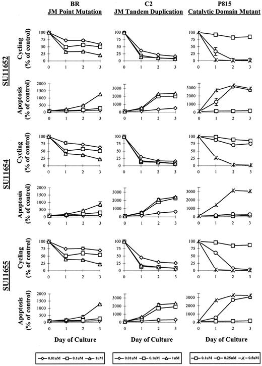 Fig. 4. SU11652, SU11654, and SU11 655 induce cell cycle arrest followed by apoptosis in cell lines expressing mutant Kit. / 5 × 105 (BR, C2, or P815) were cultured in with no drug or with SU11652, SU11654, or SU11655 at the indicated concentrations. Cells were collected after 24, 48, or 72 hours of culture, permeabilized with 70% EtOH, then incubated with PI. The percentage of cells undergoing cell cycling and apoptosis was assessed by flow cytometry and is represented graphically, presented as the percentage of control (untreated) cells. One of 4 representative experiments is shown.