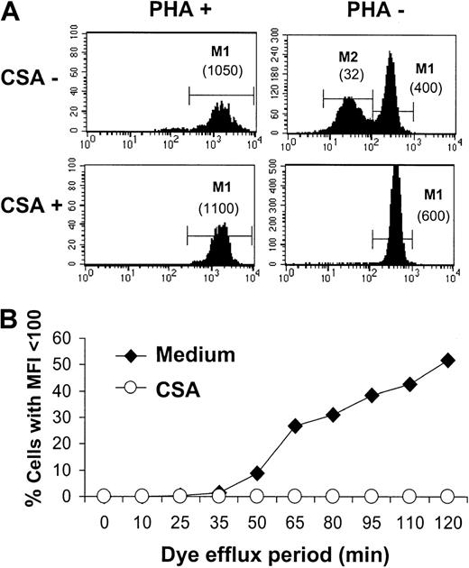 Fig. 6. Impact of PgP inhibition on TH9402 content in resting and activated lymphocytes. / (A) PHA-stimulated and resting lymphocytes were stained with TH9402 for 40 minutes and resuspended in medium alone or with CSA. Flow cytometric assessment of TH9402 content in CD3+ cells was performed 90 minutes after the end of the incubation period. Numbers in parentheses indicate the MFI of corresponding cell populations. (B) The impact of CSA exposure on the proportion of PHA-stimulated lymphocytes capable of eliminating TH9402 (MFI < 100 U) was measured over time, starting after completion of the 40-minute incubation period. The results are representative of 3 experiments.