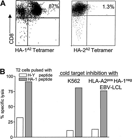 Fig. 3. Selection of HA-1–specific CTLs restricted by nonself HLA molecules using HA-1A2 tetramers. / (A) The percentage of HA-1A2 tetramer–positive CD8+ T cells after sorting. HA-2A2 tetramers were used as specificity control. (B) The cytotoxic activity of sorted T cells against T2 cells pulsed with HA-1 peptide and control H-Y peptide (both 1 μg/mL) without or with the addition of cold K562 or HLA-A2+/HA-1− EBV-LCLs (cold target cell–to–hot target cell ratio = 20). The results are expressed as the mean of the duplicate cultures at an effector-to–hot target cell ratio of 1:1.