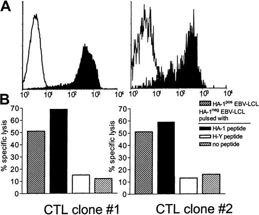 Fig. 5. Tetramer staining and HA-1–specific cytotoxic activity of HA-1–specific CTL clones restricted by nonself HLA-A2 molecules. / (A) Staining of CTL clones with HA-1A2 tetramers. Filled histograms represent the staining with HA-1A2 tetramer. Open histograms represent the staining with the control HA-2A2 tetramer. (B) Cytotoxic activity of CTL clones against HA-1 peptide–pulsed (1 μg/mL) cells and HA-1+EBV-LCLs in a 51Cr-release assay. The results are expressed as the mean value of the duplicate cultures at an effector-to–hot target cell ratio of 10:1.