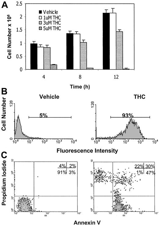 Fig. 3. THC is more effective in serum-free medium. / (A) EL-4 tumor cells were cultured in serum-free medium in the presence of various concentrations of THC (1, 3, and 5 μM) or the vehicle for 4, 8, or 12 hours. The number of viable cells was determined by trypan blue dye exclusion. The data represent the mean ± SEM of duplicate wells. (B) EL-4 tumor cells were cultured in serum-free medium in the presence of vehicle control (DMSO) or THC (5 μM) for 4 hours. The level of apoptosis induction was determined using the TUNEL method. (C) EL-4 cells cultured with THC as described above were stained with annexin V/PI and analyzed using a flow cytometer.