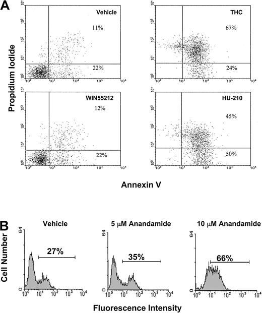 Fig. 4. THC, HU-210, and anandamide, but not WIN55212, induce apoptosis in EL-4 tumor cells in vitro. / (A) EL-4 tumor cells were cultured in serum-free medium for 4 hours in the presence of vehicle, THC (3 μM), WIN55212 (3 μM), and HU-210 (3 μM). The level of apoptosis was quantified by annexin/PI staining, as described in Figure 3. (B) EL-4 tumor cells were cultured in serum-free medium for 4 hours in the presence of vehicle or anandamide (5 and 10 μM). The level of apoptosis was quantified by TUNEL assay.