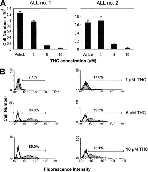 Fig. 12. THC induces apoptosis in primary ALL cells in vitro. / (A) The effect of THC on primary ALL cell viability was determined by culturing the cells for 2 hours in serum-free medium in the presence of various concentrations of THC (1, 5, and 10 μM) or the vehicle. The viable cell number was determined by trypan blue dye exclusion. (B) The effect of THC on the induction of apoptosis in primary ALL cells was determined by TUNEL assay, as described in Figure 2. Tumor cells were cultured as described above with THC (filled histogram) or the vehicle (empty histogram). Apoptosis was quantified using the TUNEL method, and the cells were analyzed using a flow cytometer. The percentage of apoptotic cells following THC exposure is depicted in each histogram.