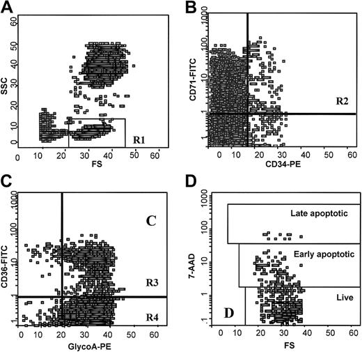 Fig. 1. Flow cytometric analysis of BM erythroid cells. / (A) Scattergram of FSC versus SSC to allow gating on cells with low FSC and low SSC properties where BM erythroid cells are included (R1). (B) Scattergram of anti-CD34 versus anti-CD71 fluorescence gated on R1, to allow gating on the CD34+/CD71+ early erythroid progenitor cells (R2). (C) Scattergram of antiglycoA versus anti-CD36 fluorescence gated on R1 to allow gating on the CD36+/glycoA+ cells (R3) and CD36−/glycoA+ cells (R4) representing the early and late erythroid precursor cells respectively. (D) Scattergram of FSC versus 7AAD fluorescence gated on R2, showing 7AADbright (late apoptotic), 7AADdim (early apoptotic), and 7AAD− (live) cells. Similar scattergrams were gated on R3 and R4 regions. FSC indicates forward light scatter; SSC, right angle light scatter.