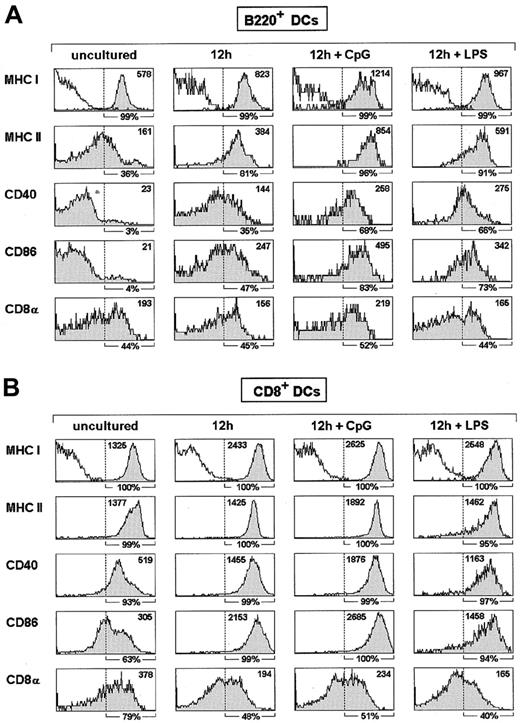 Fig. 3. Up-regulation of MHC and costimulatory molecules by B220+ DCs induced by CpG and LPS. / Histograms show the expression of the indicated markers by MACS-sorted thymic B220+ DCs (A) or CD8+ DCs (B) before culture and after 12-hour culture in control medium or in the presence of CpG or LPS. Percentage of cells with fluorescence intensity over the dashed vertical lines, corresponding to the upper limit of background staining shown in MHC class I (MHCI) histograms (white profiles), is indicated below each histogram. Mean fluorescence intensity is indicated in the upper right corner of each histogram. Data are representative of 3 experiments with similar results.