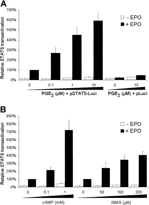 Fig. 1. Effect of PGE2 and cAMP modulators on STAT5 transactivation. / AS-E2 cells were transiently transfected with STAT5-luciferase reporter (STAT5-Luci) or control reporter without STAT5 binding sites (pLuci). Cells were deprived of EPO for 16 hours, pretreated with various concentrations of (A) PGE2, (B) cAMP, and IBMX for 30 minutes and subsequently cultured with or without EPO (2 U/mL) for 6 hours. Measured luciferase activities were corrected for β-galactosidase activities and expressed as percentage transactivation of EPO-stimulated control cells without pretreatment. Mean values of 3 independent experiments are presented, and SEM values are indicated by bars.