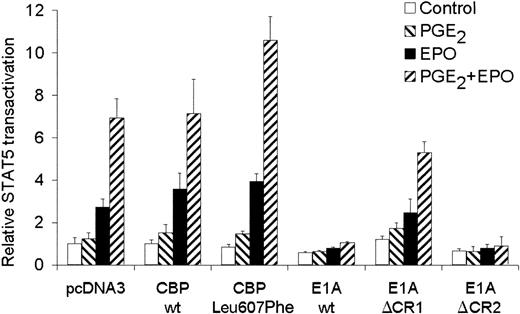 Fig. 6. Involvement of CBP in STAT5 transactivation. / STAT5 transactivation assay of AS-E2 cells that had been cotransfected with 4 μg wild-type CBP, CBP Leu607Phe, adenoviral E1A, or mutant E1A proteins E1AΔCR1 and E1AΔCR2. These cells were starved for 16 hours, pretreated with or without PGE2 (1 μM), and stimulated with or without EPO (2 U/mL) for 7 hours. Measured luciferase activities were corrected for β-galactosidase activities and expressed as percentage transactivation of unstimulated cells. The mean values of 3 independent experiments are presented, and SD values are indicated by bars.