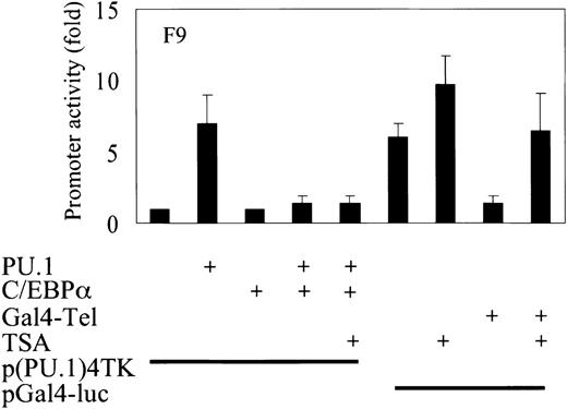 Fig. 6. C/EBPα does not recruit TSA-sensitive corepressors in down-regulating PU.1 transcriptional activity. / Transient transfection in F9 cells with a reporter construct of a minimal TK promoter with PU.1-inding sites and expression plasmids of PU.1 and C/EBPα. p(C/EBP)2TK is a control reporter for C/EBPα. TSA was used at a concentration of 100 M. Control experiments for TSA consisted of expression plasmid Gal4-Tel and a minimal promoter with GAL4 DNA-binding sites only (pGal4-luc). Luciferase activities were measured 24 hours after transfection.