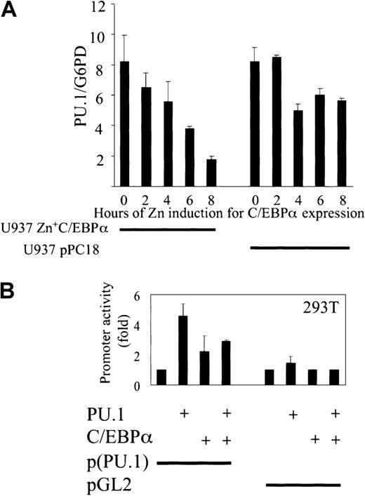 Fig. 7. C/EBPα down-regulates PU.1 expression in myeloid U937 cells. / (A) U937 cells with Zn-inducible expression of C/EBPα were stimulated with 100 mM Zn for 8 hours, cDNA was synthesized, and real-time PCR was performed for PU.1. As a control, the empty vector cell line with vector pPC18 was used (right). Agarose gel was run to check for the right size band of the PCR products (data not shown). (B) C/EBPα blocks PU.1 transactivation capacity of PU.1 promoter. Transient transfection in 293T cells with a reporter construct of human PU.1 promoter and expression plasmids of PU.1 and C/EBPα. pGL2 was used as an empty vector control. Luciferase activities were measured 24 hours after transfection.