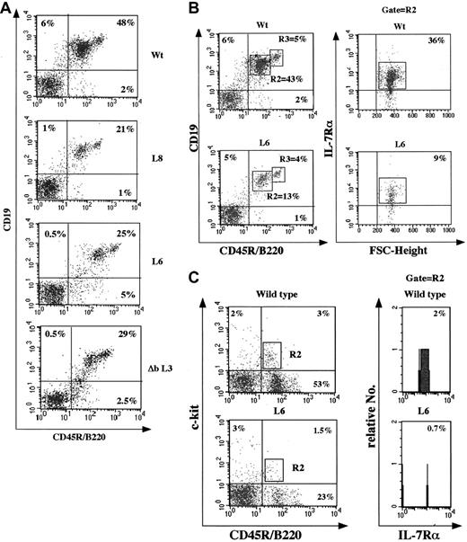 Fig. 4. Defect in early B lymphopoiesis of transgenic mice. / (A) Phenotypic analysis of BM B cells stained with anti-B220–FITC and anti-CD19–PE monoclonal antibodies. The percentages of marked cells are indicated in the quadrants. (B) Reduction of B220+CD19+ IL-7Rα+ late pro-B cells in transgenic mice. Cells were stained with monoclonal anti-B220–FITC, anti-CD19–PE, and anti–IL-7Rα–biot/PE-Cy5. R2 represents the immature B220low cells, and R3 comprises more mature BM B cells. B220low CD19+ cells in R2 were further analyzed for FSC-height and IL-7Rα expression. (C) Reduction of B220+ c-kit+ IL-7Rα+ intermediate pro-B cells. Cells were stained with monoclonal anti-B220–FITC, anti–c-kit–APC, and anti–IL-7Rα–biot/PE-Cy5. B220+c-kit+ cells in R2 were further analyzed in a histogram plotting anti–IL-7Rα fluorochrome intensity against the relative number of IL-7Rα+ cells and shows the percentages of B220+ c-kit+ IL-7Rα+ cells in the lymphoid gate. These FACS analyses were repeated at least 5 times, and all percentages of Figure 3 refer to the lymphoid gates defined on forward and side light scatter.
