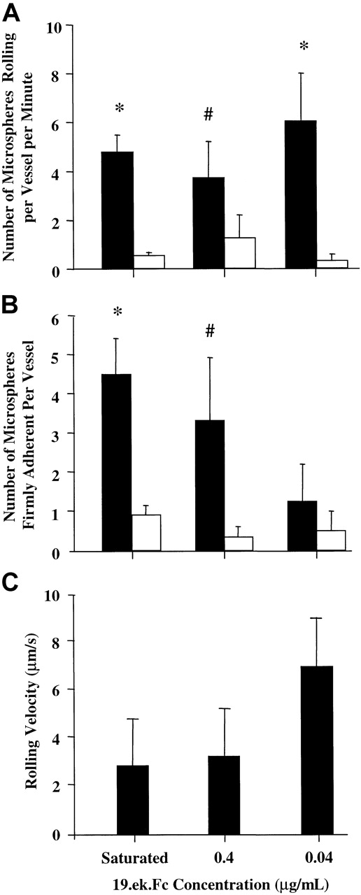 Fig. 7. The 19.ek.Fc microspheres coated with a range of 19.ek.Fc surface densities exhibit greater adhesion than matched ek.Fc microspheres in vivo. / The 19.ek.Fc microspheres were prepared using different concentrations of 19.ek.Fc. (A) The number of rolling 19.ek.Fc (black bars) or ek.Fc (white bars) microspheres as a function of concentration of ligand used to coat the microspheres is shown. ANOVA indicated that the number of rolling microspheres was a function of the ligand used to coat the microspheres. Asterisk and pound signs indicate P for individual t tests between 19.ek.Fc microspheres and ek.Fc microspheres prepared with the same concentration of 19.ek.Fc or ek.Fc. *P ≤ .01; #P = .09 for these ttests. (B) The number of firmly adherent 19.ek.Fc (black bars) or ek.Fc (white bars) microspheres as a function of concentration of ligand used to coat the microspheres is shown. ANOVA indicated that the number of firmly adherent microspheres was a function of the ligand used to coat the microspheres. Asterisk and pound signs indicate P for individual t tests between 19.ek.Fc microspheres and ek.Fc microspheres prepared with the same concentration of 19.ek.Fc or ek.Fc. *P < .01; #P = .09 for these ttests. (C) The rolling velocities for individual rolling 19.ek.Fc microspheres were determined. These values were averaged to give the average rolling velocities depicted in panel C. Each bar represents the average of 10 individual 19.ek.Fc microspheres. The average rolling velocity for the leukocytes was about 30 μm/s. ANOVA indicated that the rolling velocity was a function of the concentration of 19.ek.Fc used to coat the microspheres (P < .01). For further details of the surface density of 19.ek.Fc on the microspheres, see the second and third paragraphs of “Discussion” and Table 1. Data from microspheres prepared with 17 and 4 μg/mL of 19.ek.Fc were combined because they appear to have similar surface densities of 19.ek.Fc (Figure 1).