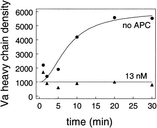 Fig. 5. APC cleavage of factor Va on endothelium. / Endothelial cells were incubated with prothrombin, factor X, protein S, antithrombin III, and TFPI, along with 20 nM activated factor V. Accumulation of factor Va on the endothelial cells was detected by western blotting. The plot shows the density of the heavy chain band (measured as described in “Materials and methods”). Results are shown for the absence (●) or presence (▴) of 13 nM APC.