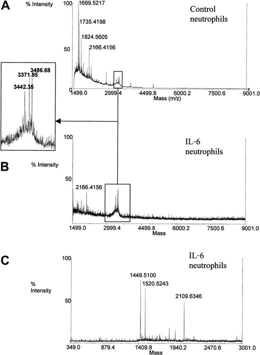 Fig. 7. Mass spectrometry measurement on supernatant of neutrophils incubated or not (control) with IL-6.
