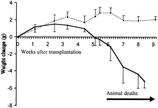 Fig. 2. Clinical progression of the inflammatory disease. / Animal weight change following transplantation with TβRII−/− (filled line) and TβRII+/−control bone marrow (dotted line) is shown. The initial numbers of transplanted animals were 10 (TβRII−/− donor bone marrow) and 5 (TβRII+/− donor bone marrow). The mean weights of recipients of TβRII−/− bone marrow and TβRII+/− bone marrow at transplantation were 19.8 ± 2.6 g and 19.8 ± 1.0 g, respectively. Each point represents the average weight change compared to the weight at transplantation. Animal deaths occurred among TβRII−/−bone marrow recipients from 6 to 9 weeks after transplantation. Control animals remained healthy until they were killed for histologic examination by 7 to 15 weeks after transplantation.