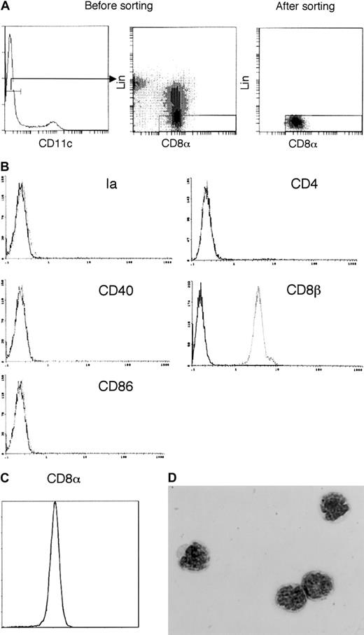 Fig. 1. Isolation of CD8α+CD11c−Lin−cells from the spleen. / (A) The splenocytes enriched by CD8α-microbeads, as described in “Materials and methods,” were stained with biotin-conjugated anti-CD11c MoAb, followed by APC-conjugated streptavidin, as well as FITC-conjugated anti-CD8α, PE-conjugated anti-Lin markers (CD3ε, B220, Gr-1, CD11b, and NK1.1). The CD8α+Lin−cells for sorting were gated on CD11c− cells. The purity of the CD8α+CD11c−Lin− cells after sorting was presented (> 98%). The quads were set up on the isotype-matched control dot plot. The results are representative of more than 6 independent experiments. (B) CD8α+CD11c−Lin− cells were first isolated by using a cell sorter and then further stained with PE-conjugated anti-Ia, anti-CD40, anti-CD86, anti-CD4, as well as biotin-conjugated anti-CD8β, revealed with APC-streptavidin. Solid and dotted lines indicated the immunofluorescence intensity of cells stained with a control and the test antibodies, respectively. The results are representative of 4 independent experiments. (C) CD8α expression of spleen-derived CD8α+CD11c−Lin− cells. The CD8α+CD11c−Lin− cells were first isolated by using a cell sorter as described in (A), and then reanalyzed by FACS (shown as solid line). For CD8αCD3ε T cells, the CD8α-microbead–enriched cells were stained with FITC-conjugated anti-CD8α and PE-conjugated anti-CD3ε. The CD8αCD3ε T cells were isolated by using a cell sorter and then reanalyzed by FACS (shown as dotted line). The results are representative of 3 independent experiments. (D) Giemsa staining was performed on CD8α+CD11c−Lin− cells after sorting. The results are representative of 4 independent experiments. Original magnification × 400.