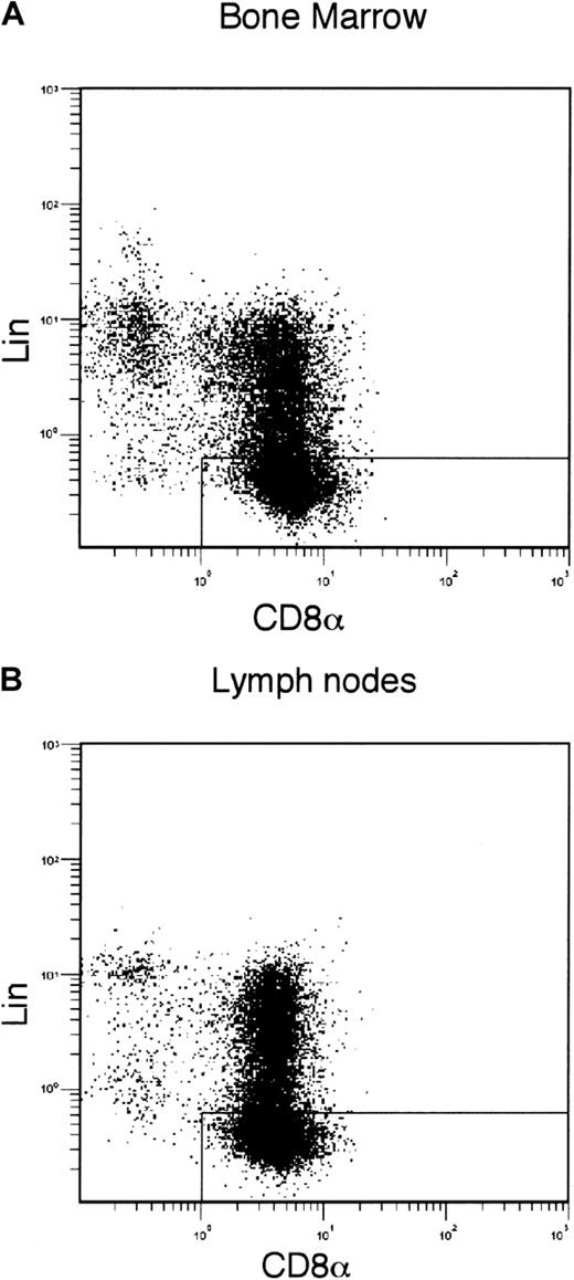 Fig. 2. Isolation of CD8α+CD11c−Lin− cells from BM and lymph nodes. / BM cells (A) and lymph node cells (combined axillary, cervical, inguinal, and mesenteric lymph nodes; B) were enriched by CD8α-microbeads and then stained with biotin-conjugated anti-CD11c, revealed with APC-streptavidin, as well as FITC-conjugated anti-CD8α, PE-conjugated anti-Lin markers (CD3ε, B220, Gr-1, CD11b, and NK1.1). The CD8α versus Lin markers staining was gated on CD11c−cells. The gate indicated the BM-derived (A) and lymph node–derived (B) CD8α+CD11c−Lin− cells, respectively. The results are representative of 3 independent experiments.
