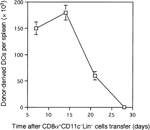 Fig. 4. The kinetics of generation of CD8α. / +CD11c−Lin−cell–derived splenic DCs. Each group of 4 irradiated Ly5.1 B6 mice was reconstituted with 5 × 105 sorted CD8α+CD11c−Lin− cells from the spleens of Ly5.2 B6 mice. Donor-derived DCs were identified as Ly5.2+Ia+ cells as described in Figure 3A at various time points (1 to 4 weeks) after transplantation. Each point is the mean ± 1 SD of 3 such reconstitution experiments, each based on a pool of 4 spleens from the reconstituted mice.