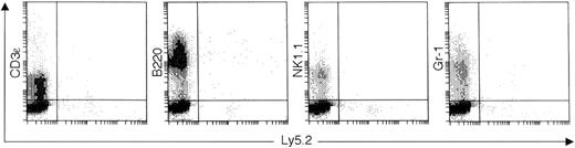 Fig. 8. CD8α+CD11c−Lin− cells fail to differentiate into T cells, NK cells, or other myeloid lineage cells. / At day 21, the splenocytes from the CD8α+CD11c−Lin−cell–reconstituted mice were collected and stained with FITC-conjugated anti-Ly5.2 and PE-conjugated anti-CD3ε, anti-B220, anti-NK1.1, or anti–Gr-1, respectively. The quads were set up on the isotype-matched control dot plot. The results are representative of 6 independent experiments.