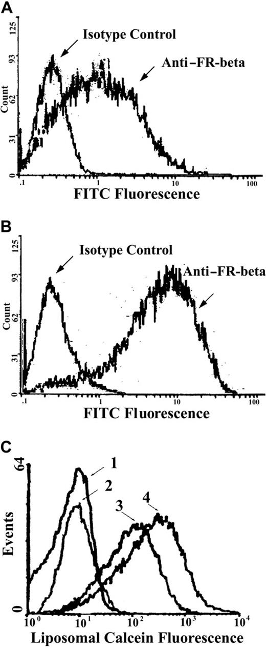 Fig. 3. Effect of ATRA on FR-β expression and f-L-calcein uptake in KG-1 cells. / Cellular FR-β expression was determined by flow cytometry using rabbit anti–FR-β (with normal rabbit IgG as an isotype control) as the primary antibody and FITC-goat anti-rabbit IgG as the secondary antibody. Liposomal uptake was determined by fluorescence of the encapsulated calcein. (A) FR-β expression in untreated KG-1 cells. (B) FR-β expression in KG-1 cells after a 5-day exposure to ATRA (1 μM). (C) Uptake of f-L-calcein and L-calcein by KG-1 cells and the effect of ATRA. Cells were treated with L-calcein without ATRA pretreatment (1), L-calcein with ATRA pretreatment(2), f-L-calcein without ATRA pretreatment (3), or f-L-calcein with ATRA pretreatment (4).
