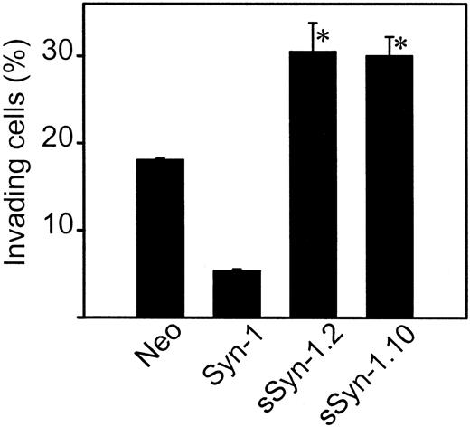 Fig. 4. Soluble syndecan-1 ectodomain promotes cell invasion in vitro. / Cells were placed on the surface of gels composed of type I collagen and allowed to invade for 48 hours. The percentage of invasive cells was calculated after determining the number of cells on the gel surface and the number of cells that had invaded the gel. Data are shown for the 2 soluble syndecan-1 clones (clones 2 and 10) and represent the means of quadruplicate wells ± SE. *P < .01 for neo versus sSyn-1.2 and neo versus sSyn-1.10.