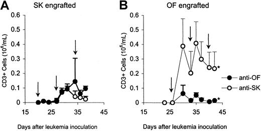 Fig. 5. Monitoring of effector cells. / CD3+ cell counts in peripheral blood of SK-engrafted (left) and OF-engrafted (right) mice treated with anti-SK or anti-OF CTLs. The time points of CTL administration are indicated by arrows. The asterisk represents a statistically significant difference (P ≤ .05).