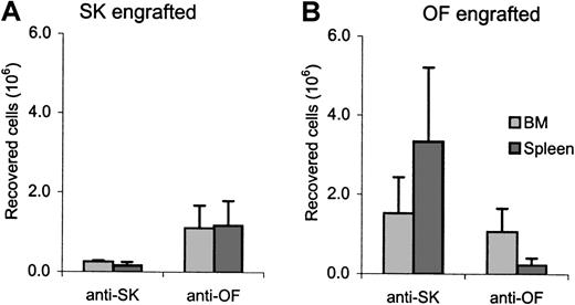 Fig. 6. Recovery of CD3+ cells in bone marrow and spleen. / Total numbers of recovered CD3+ cells at experimental end point in bone marrow and spleen of CTL-treated SK-engrafted (left) and OF-engrafted (right) mice. Total CD3+ cell numbers in the bone marrow compartment were calculated from the numbers recovered from 2 femurs.