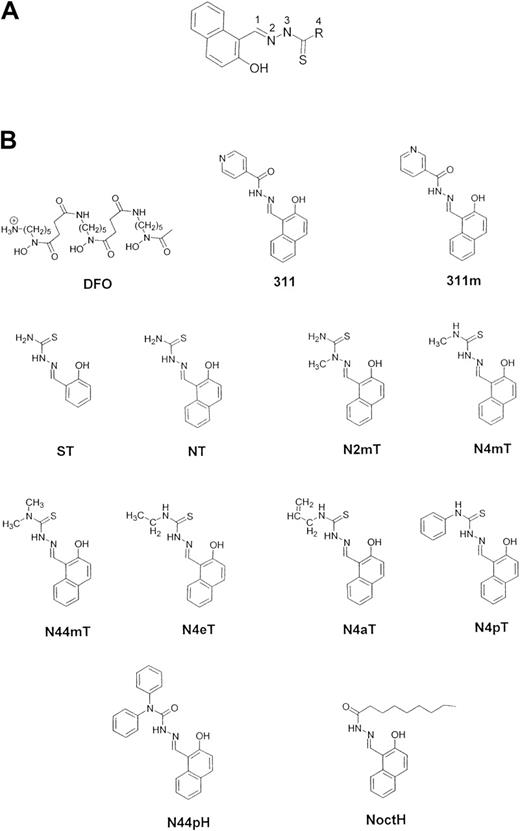 Fig. 1. Structures of the Fe chelators examined in this study. / (A) General structure of the 2-hydroxy-1-naphthylaldehyde thiosemicarbazone (NT) analogues along with their numbering scheme. (B) Desferrioxamine (DFO), 2-hydroxy-1-naphthylaldehyde isonicotinoyl hydrazone (311), 2-hydroxy-1-naphthylaldehyde nicotinoyl hydrazone (311m), salicylaldehyde thiosemicarbazone (ST), 2-hydroxy-1-naphthylaldehyde thiosemicarbazone (NT), 2-hydroxy-1-naphthylaldehyde-2-methyl-3-thiosemicarbazone (N2mT), 2-hydroxy-1-naphthylaldehyde-4-methyl-3-thiosemicarbazone (N4mT), 2-hydroxy-1-naphthylaldehyde-4,4-dimethyl-3-thiosemicarbazone (N44mT), 2-hydroxy-1-naphthylaldehyde-4-ethyl-3-thiosemicarbazone (N4eT), 2-hydroxy-1-naphthylaldehyde-4-allyl-3-thiosemicarbazone (N4aT), 2-hydroxy-1-naphthylaldehyde-4-phenyl-3-thiosemicarbazone (N4pT), 2-hydroxy-1-naphthylaldehyde-4,4-diphenylhydrazone (N44pH), and 2-hydroxy-1-naphthylaldehyde-4-octylhydrazone (NoctH).