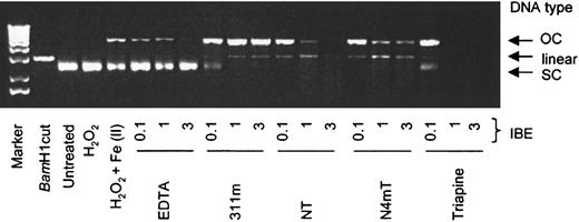 Fig. 12. Redox activity of the Fe complexes of the chelators assessed by plasmid DNA cleavage assays. / The effects of EDTA, 311m, Triapine, and the most cytotoxic NT analogues (NT and N4mT) on integrity of the plasmid pGEM-7Zf(+) when incubated in the presence of Fe(II) and hydrogen peroxide. Reagents were added in the following order: purified sterile water, chelator (1, 10, and 30 μM), FeSO4 (10 μM), H2O2 (1 mM), and plasmid (10 μg/mL); followed by incubation at room temperature for 30 minutes before loading onto a 1% agarose gel (see “Materials and methods”). Results are a typical experiment from 8 performed.