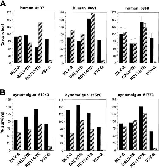 Fig. 4. Stability of pseudotyped SIV-vector virions in human and macaque sera. / Infectious pseudotyped SIV-vector particles (50 000 GFP IU in 50 μL suspension buffer) were mixed with 50 μL fresh (diagonal bars) or heat-inactivated (solid bars) human (A) or macaque (B) sera. As a reference, virions were mixed with 50 μL heat-inactivated FCS. Virion-sera mixtures were incubated at 37°C for 1 hour and then used to transduce TE671 target cells. Values show the titers of primate sera-incubated virions relative to the titers of the same virions incubated in FCS (%). The results of experiments performed with sera of 3 different individual donors are shown. The experiments with human serum no. 659 were performed in triplicate and are displayed as mean values ± SD.
