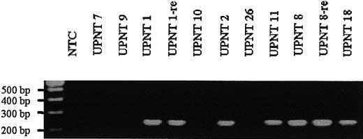 Fig. 2. RT-PCR analysis of HOX11L2 expression in T-ALL samples. / A 242-bp fragment is amplified from several samples. NTC indicates no template control; re, relapse.