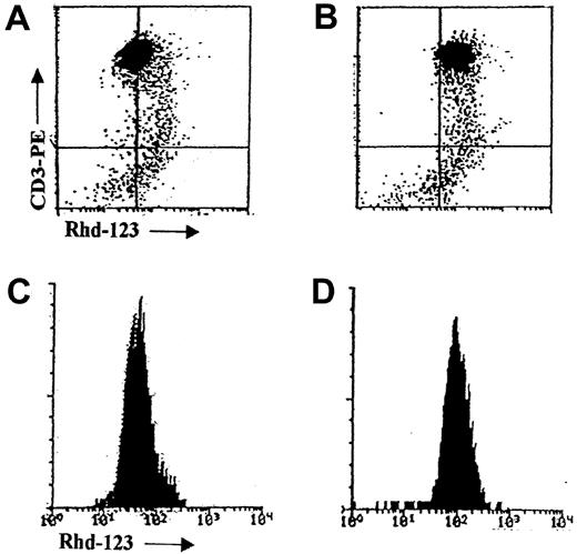 Fig. 2. Flow cytometric detection of MDR1 function by rhodamine-123 efflux. / Flow cytometric dot plots and histograms of MDR1 function in a representative T-ALL sample as measured by the Rhd-123 efflux test without (A, C) and with (B, D) the verapamil MDR modulator.