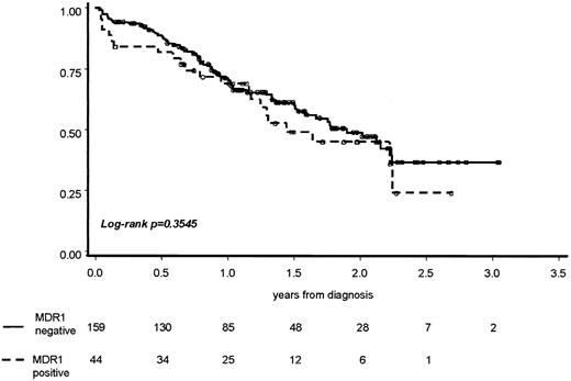 Fig. 4. OS according to MDR1 expression in ALL. / OS duration in MDR1-positive and MDR1-negative patients treated according to the GIMEMA ALL0496 protocol.