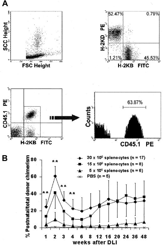 Fig. 4. Kinetic analysis of DLI-derived cells. / (A) Representative flow analysis demonstrating clear discrimination of the postnatal DLI-derived population. (B) Kinetic profile of the DLI-derived population in peripheral blood over the length of the study. **P < .01 for 30 × 106 cell dose versus 15 × 106 cell dose. The late increase represents multilineage engraftment (see Figure 5).