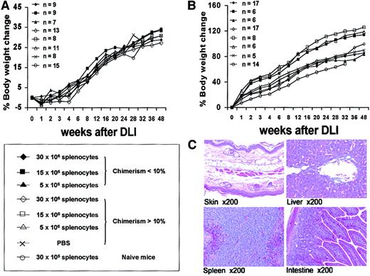 Fig. 6. Analysis of GVHD in experimental groups after DLI. / (A) Serial body weight assessment after DLI at 4 weeks of age expressed as percentage body weight change. (B) Serial body weight assessment after DLI at 8 weeks of age. (C) Representative hematoxylin and eosin histology from fully chimeric mouse at 48 weeks after DLI. No evidence of GVHD was seen on any histologic assessment.