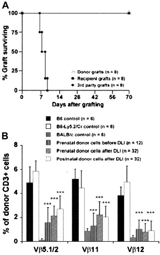 Fig. 7. Tolerance to donor skin grafts and deletion of donor lymphocytes bearing host Mtv-specific VβTCR in complete donor chimeric mice at 24 weeks after DLI. / (A) Donor, recipient, and third-party skin graft survival after DLI. Chimeric animals were specifically tolerant to donor skin grafts. (B) Expression of postnatal donor VβTCR was analyzed at 24 weeks after DLI by 3-color flow cytometry for CD3, relevant VβTCR (Vβ5.1/2, Vβ11, and Vβ12) and donor CD45 isoform (CD45.1, CD45.2). ***P < .001 prenatal donor versus B6 control or postnatal versus B6-LY5.2Cr.