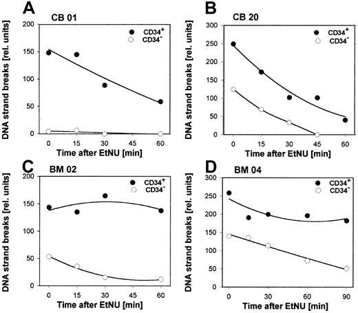 Fig. 3. Repair kinetics for secondary DNA lesions in hematopoietic cells. / CD34+ or CD34− cells were isolated from samples of CB (A,B) or BM (C,D) of 4 individual donors and exposed ex vivo to a short treatment (20 min) with EtNU (100 μg/mL). Repair-induced DNA strand breaks were determined by the comet assay in cell aliquots at different time points after exposure.