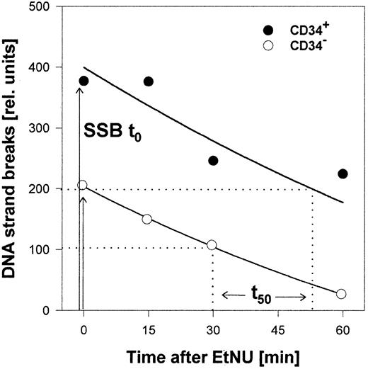 Fig. 4. Quantitative evaluation of the DNA repair capacity. / CD34+ and CD34− cells were isolated from a sample of CB, exposed to EtNU and measured by comet analysis as in Figure 3. The relative amount of “initial” strand breaks (SSBt0) directly after treatment and the time for repairing 50% of these lesions (t50) were determined as parameters for the cellular DNA repair capacity.