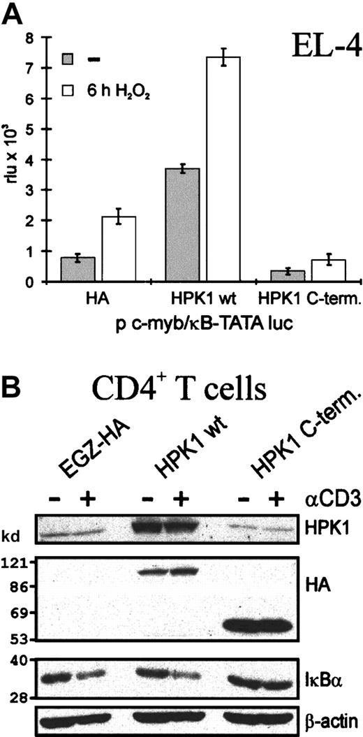 Fig. 6. HPK1 affects NF-κB induction in murine T cells. / (A) HPK1 wt supports and the HPK1 C-terminal peptide suppresses NF-κB induction. EL-4 cells were cotransfected with expression vectors encoding HPK1 wt or HPK C-terminus and a luciferase reporter gene driven by 3 copies of a κB site from the c-myb enhancer.9 Forty-two hours after transfection, cells were either left uninduced (–) or induced with 500 μM H2O2 for 6 hours as indicated. The data show mean values of 4 transfections. (B) HPK1 C-terminus impairs IκBα degradation. CD4+ T cells from LNs of DO 11.10 TCR tg mice were stimulated with OVA peptide and infected with the indicated retroviruses. After 2 days of expansion, the cells were sorted for infected EGFP-positive cells. One day later the cells were either left untreated (–) or restimulated with plate-bound αCD3ε mAb for 30 minutes (+). Whole cell protein extracts were prepared from 3 × 105 cells each and immunoassayed using the indicated Abs.