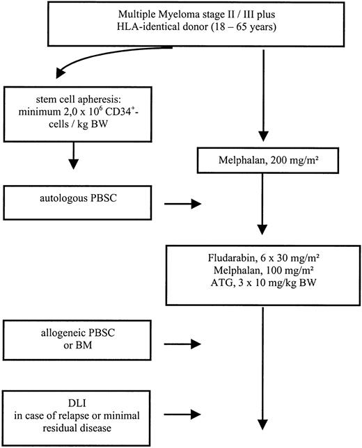 Fig. 1. Treatment plan.