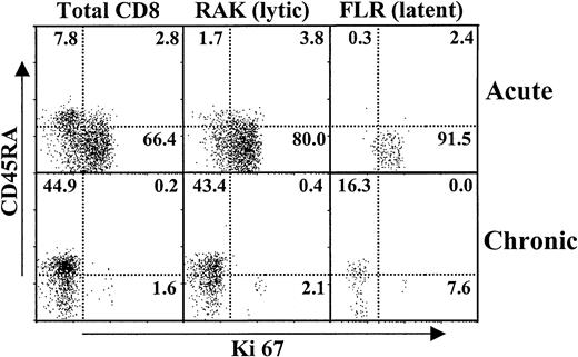 Fig. 3. Extent of cell cycling in virus-specific CD8+ T cells during and after resolution of AIM. / PBMCs were isolated from patients before (acute) and after (chronic) the resolution of AIM. These cells were stained by 4-color flow cytometry for CD8, latent or lytic HLA class 1 tetramers, CD45RA, and the cell cycle marker Ki67. Representative results from 1 of 3 similar experiments are shown.