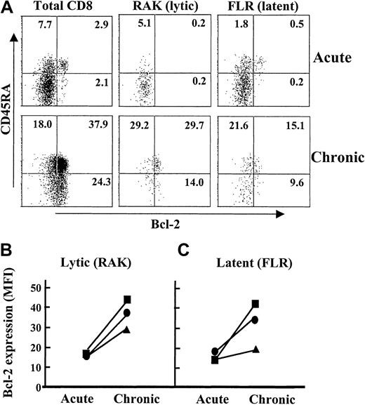 Fig. 5. Expression of Bcl-2 by virus-specific CD8+ T cells before and after the resolution of AIM. / PBMC samples were isolated from 1 patient during (acute) and 1 year after the resolution of AIM (chronic). These samples were analyzed by 4-color flow cytometry for CD8, latent or lytic EBV specificity, CD45RA, and the anti-apoptotic molecule Bcl-2. The expression of Bcl-2 by CD45RA+ and CD45RA− T cells within the total CD8+, lytic, and latent epitope-specific cells is shown (A). The relative level of Bcl-2 expression (MFI) before and after resolution of AIM in the total CD8+ population of the same patient as above (squares), the CD45RA+tetramer-positive cells (circles), or CD45RA−tetramer-positive cells (triangles) were determined in cells specific for lytic (B) and latent (C) EBV epitopes. Results are representative of 5 separate experiments.
