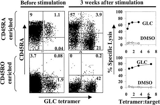 Fig. 8. Long-term expansion and cytotoxic activity of re-stimulated EBV lytic epitope-specific CD45RA+ and CD45RO+CD8+ T cells. / CD8+, CD45RA+ and CD8+, CD45RO+ T-cell subsets were enriched from PBMCs of an HLA-A2 donor by negative selection. CD45 isoform expression of these specific cells was determined before and after 3 weeks of stimulation with irradiated APC pulsed with the GLC lytic peptide epitope. Activated cells were supplemented with IL-2 every 3 to 4 days. Cytotoxic activity of the expanded populations was tested against51Cr-labeled GLC peptide-pulsed PHA blast target cells. Similar results were obtained in a second identical experiment.