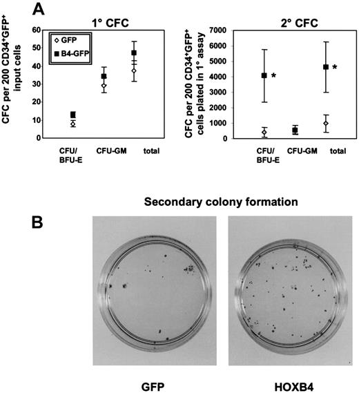 Fig. 2. Primary and secondary colony formation in methylcellulose. / Methylcellulose dishes of primary CFC cultures were killed on day 14 and replated in secondary methylcellulose cultures. Secondary colony formation was assessed on day 14. Mean numbers of primary and secondary colonies for 6 independent experiments with 6 different CB samples are indicated by bars (A). The morphology and increased number of macroscopic colonies with a clear erythroid component in replated methylcellulose dishes are shown from one representative experiment compared with the GFP control (B). *P < .03.