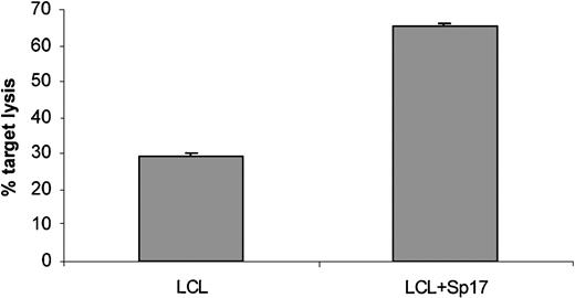 Fig. 2. Target cell killing with EBV-transformed autologous LCLs. / When Sp17-specific CTLs from patient 1 were used as effector cells against autologous LCLs pulsed with Sp17 recombinant protein, target lysis was observed in LCLs pulsed with the recombinant protein and not those without the recombinant protein (E/T ratio, 20:1). Results are expressed as mean ± SD.