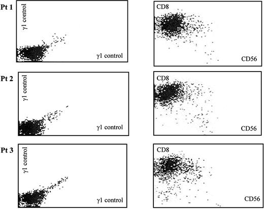 Fig. 5. Flow cytometric analysis of the CTL lines showed that they were made up predominantly of CD8+ T cells, most of which were CD56−.